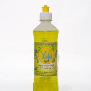 Dishwashing Liquid (500 ml)